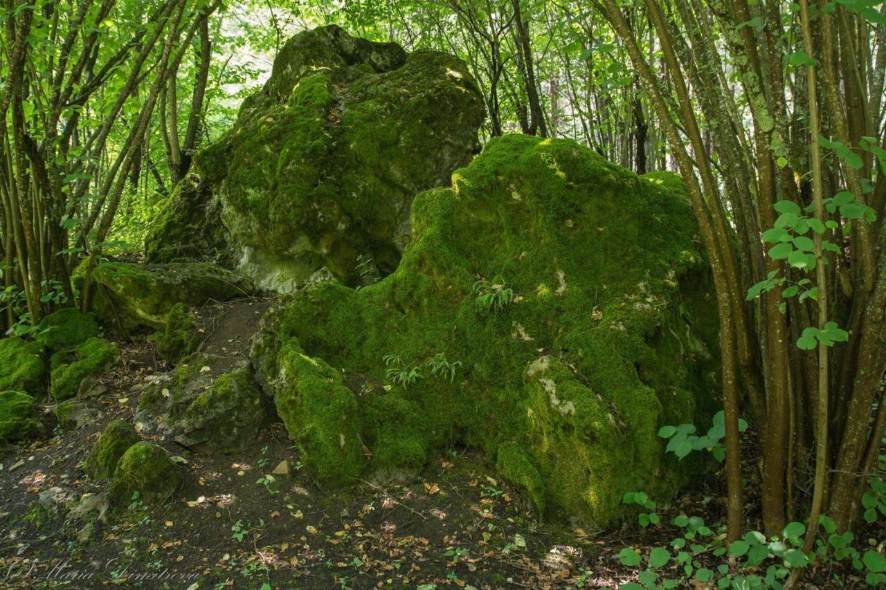 Omaya Eco Village Gaytaninovo Buitenkant foto
